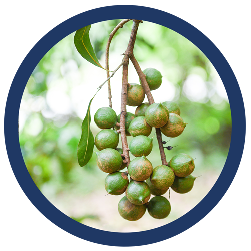 Working at heights solutions for farmers